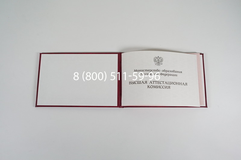 Диплом доктора наук 1995-2006 года в Златоусте Диплом доктора наук 1995-2006 года в Златоусте