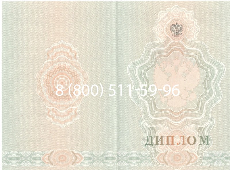 Купить Диплом училища 2007-2009 годов в Златоусте
